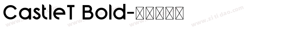 CastleT Bold字体转换